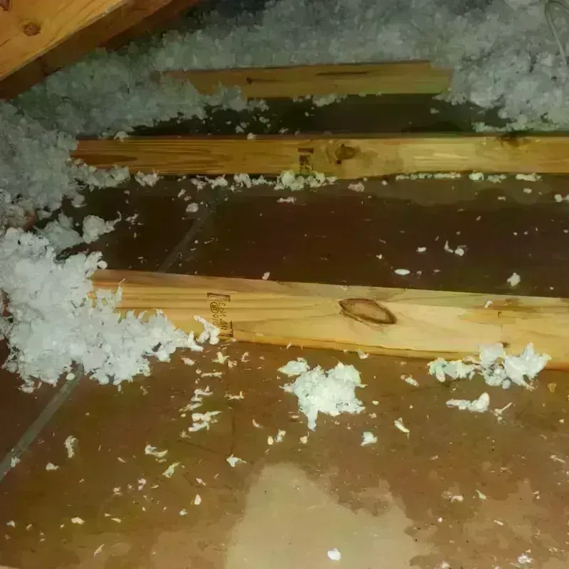 Attic Water Damage in Lee, MA