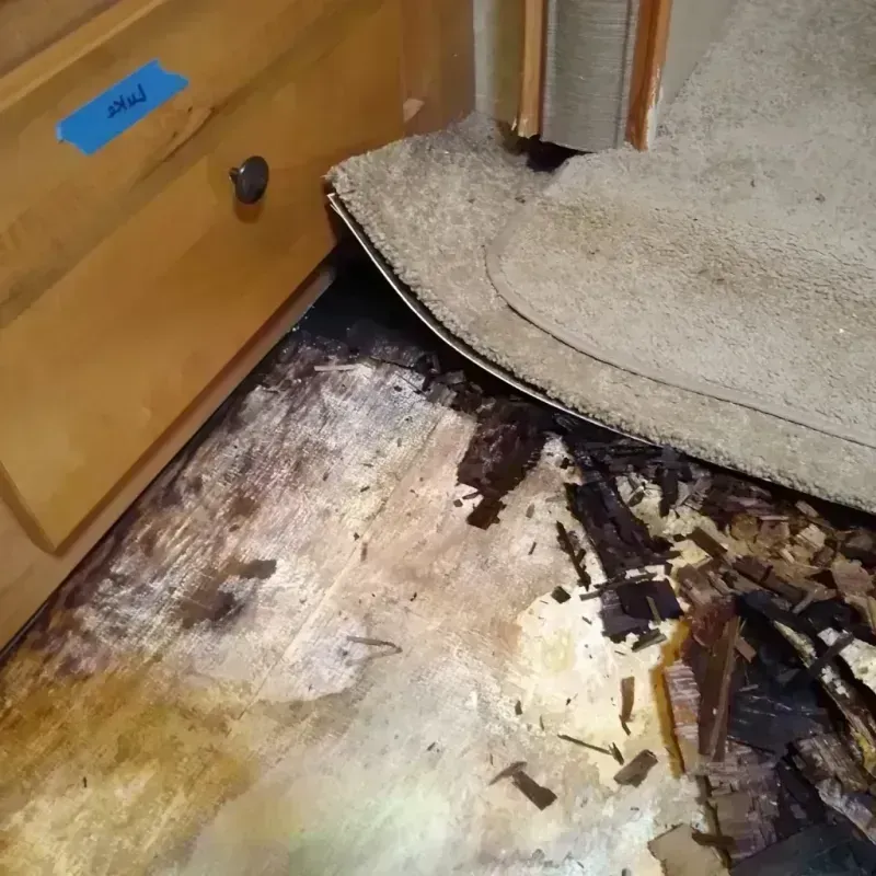 Best Wood Floor Water Damage Service in Lee, MA